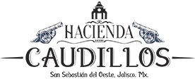 Hotel Hacienda Caudillos
